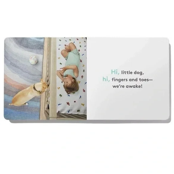 Lovevery Book Bundle Board Books for Baby - 3pc NIB - Picture 5 of 6